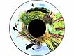 Optikinetics 6" Wheel: In The Country - click to view