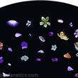 Optikinetics 6" Abstract Wheel: Blossom (Coloured)
