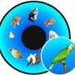 Optikinetics 6" Wheel: Family Pets