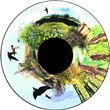Optikinetics 6" Wheel: In The Country