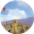 Optikinetics 9" MAX Wheel: African Safari