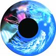 Optikinetics 6" Wheel: Weather